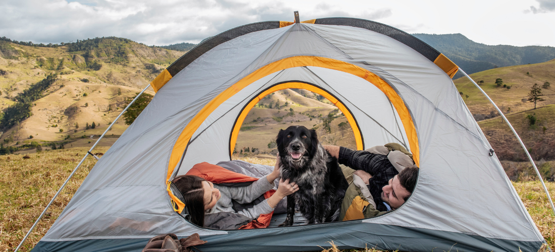Couple relaxing inside a dome tent with their dog, framed by the open doorway overlooking rolling hills.