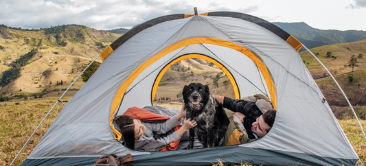 Your Guide to Dog-Friendly Camping: What to Know Before You Go