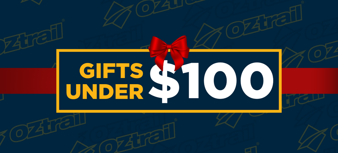 Gifts under $100