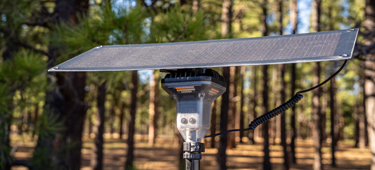 20 Watt Portable Solar Panel on stand with coiled cable, set against a blurred pine forest backdrop.