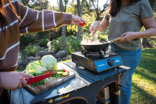 Single Burner Wok Cooker