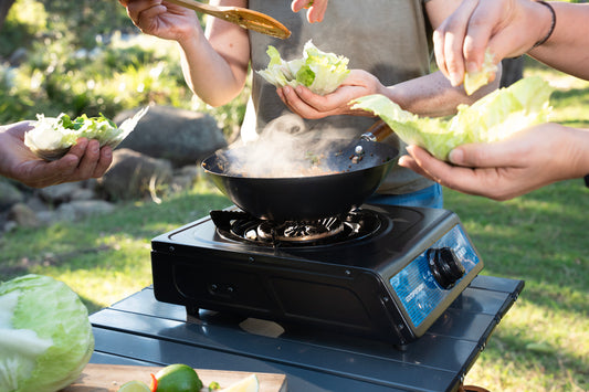 Single Burner Wok Cooker