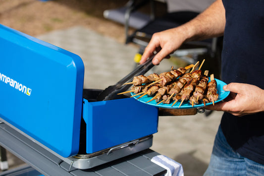 Melamine Dinner Plate - Blue