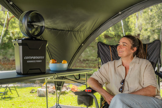 Aerobreeze ProMist 25cm Oscillating Misting Fan