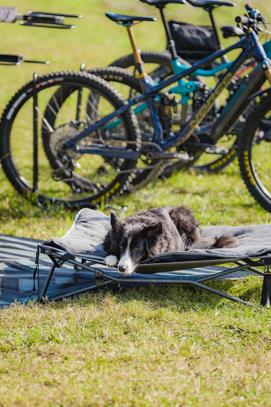Dog Bed & Fleece Topper Large
