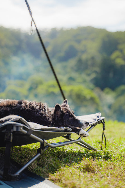 Dog Bed & Fleece Topper Large