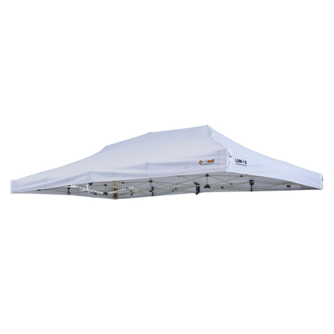 Commercial Lumos 6M Canopy / Switch